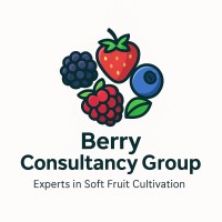 Marcel Beekers Soft Fruit Consult